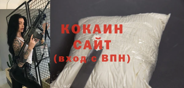 твердый Бородино