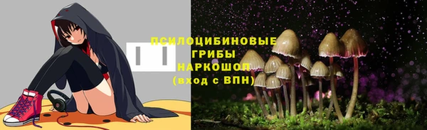 Альфа ПВП Сосновоборск