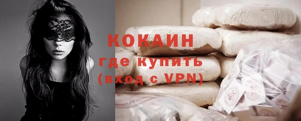 твердый Бородино