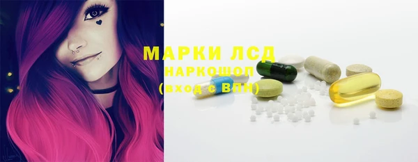 твердый Бородино