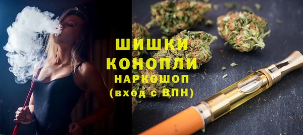 твердый Бородино