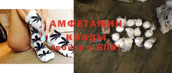 твердый Бородино