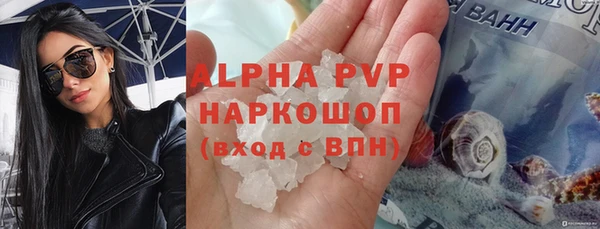 твердый Бородино
